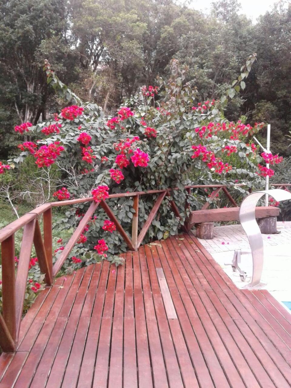 Chacara Recanto Vale Do Luar Piraquara Esterno foto